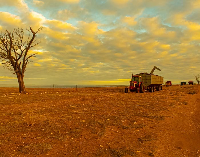 Push for council rate subsidies for farmers facing drought hardship