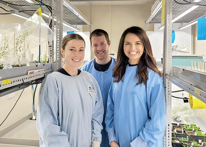 Failed antibiotics now weed killers