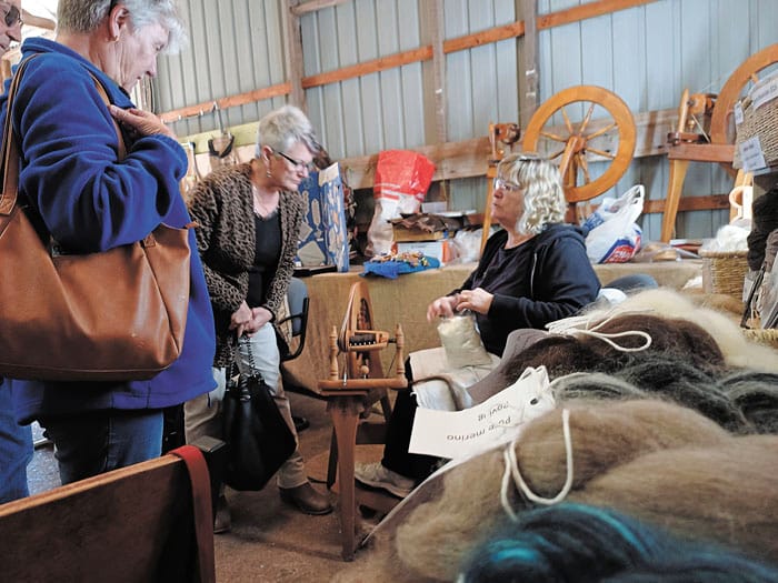 Stansbury group outing to celebrate volunteers