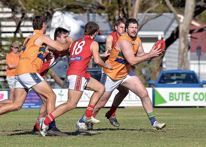 Eagles fly southern flag up north