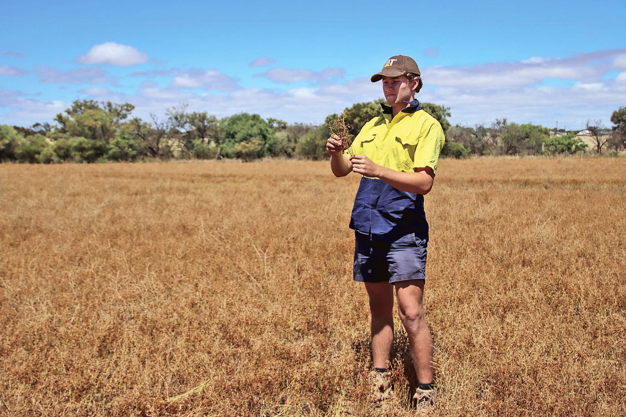 NYP farmers suffer storm damage