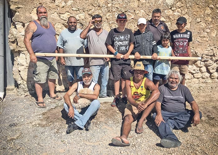 Project to protect Gynburra species