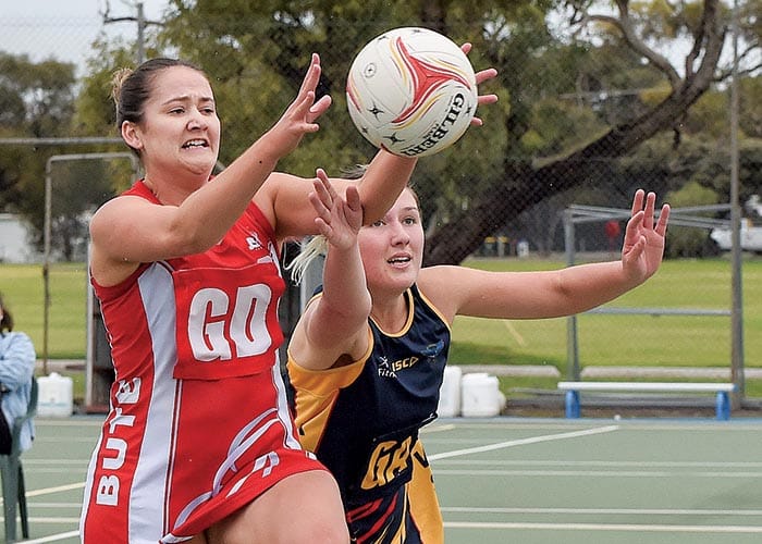 YPNA scores and reports