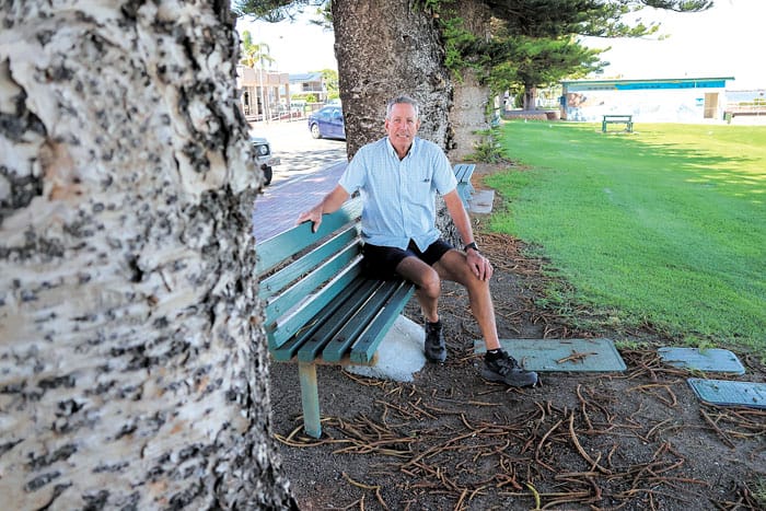 Broughton’s pine preservation plan