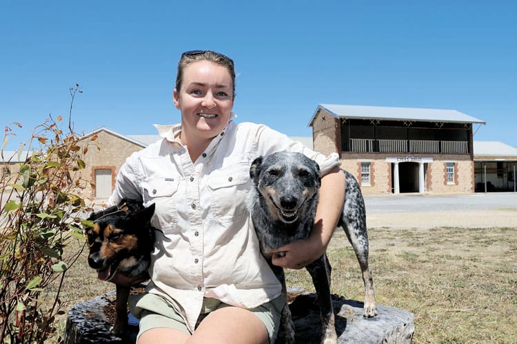 Showgrounds to receive makeover