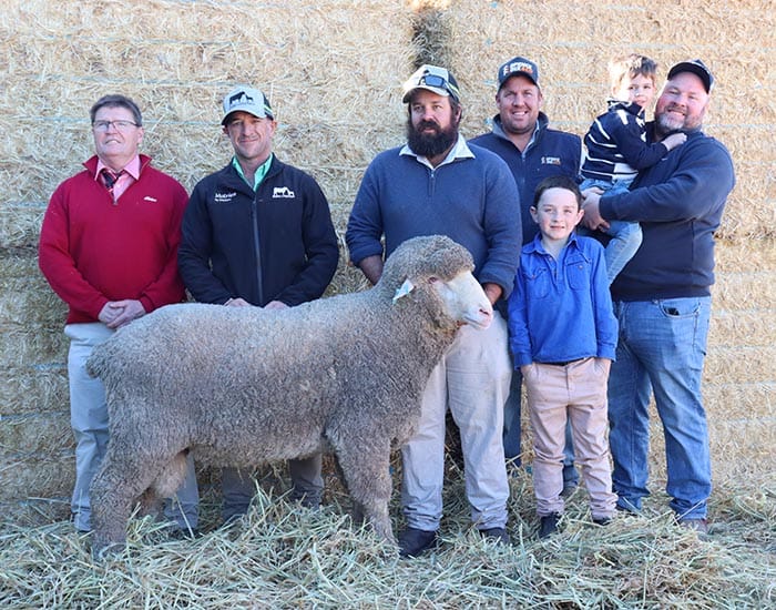 Rams to thrive in any climate