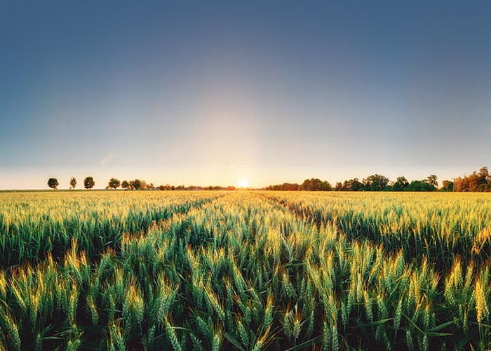 GPSA to hold grain storage workshop