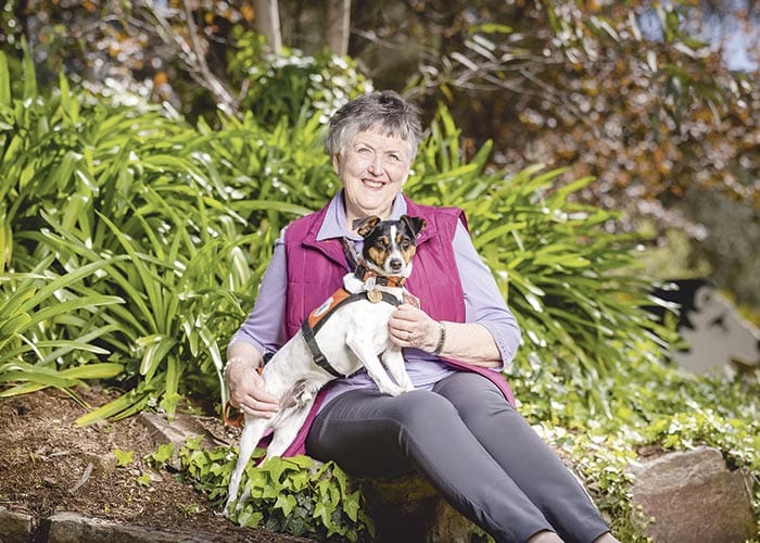 Lions help train dogs