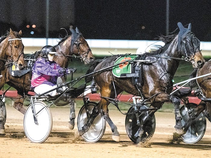 Port Pirie harness racing