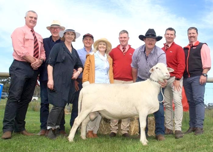 New opportunities with new breed