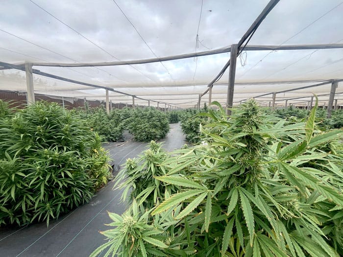 Two people charged after commercial drug bust