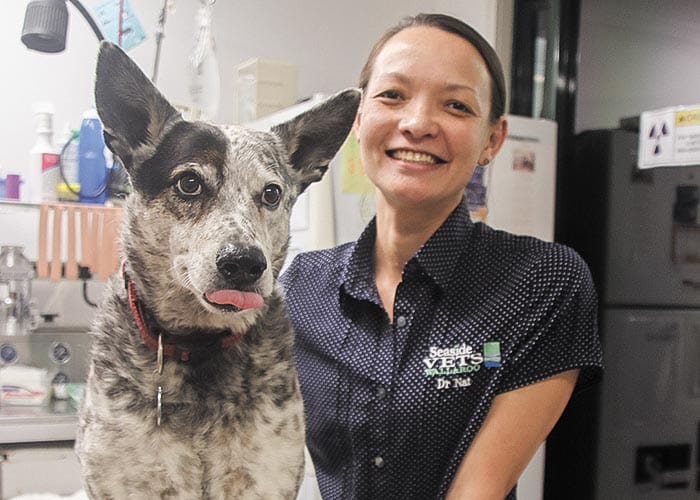 YP dog owners warned to guard against ticks