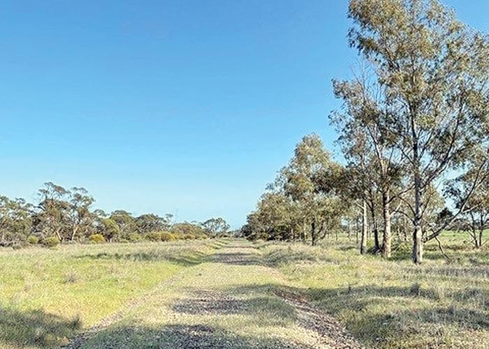Walkers on track on NYP