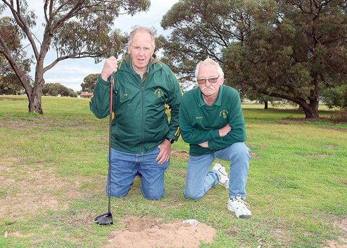 Moonta metal detector madness