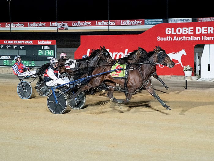 YP harness racing