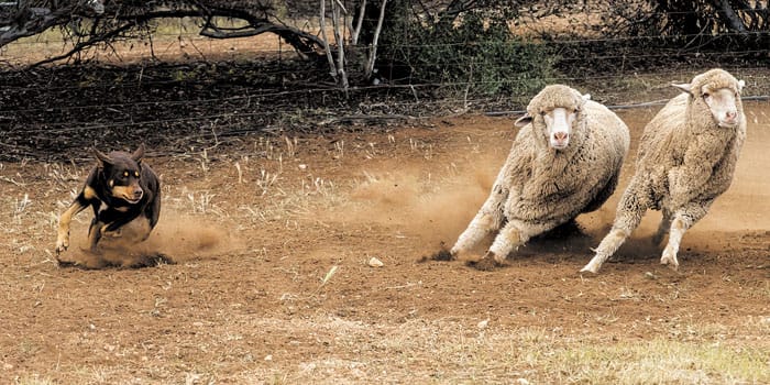 Copper Coast Photography Club