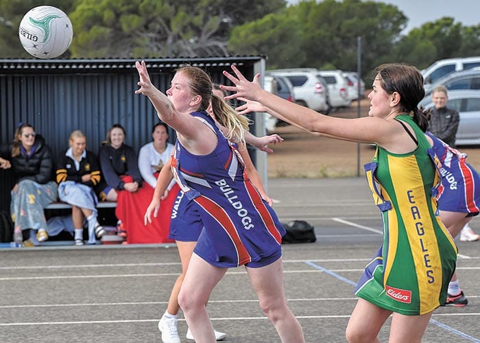 YPNA scores and reports