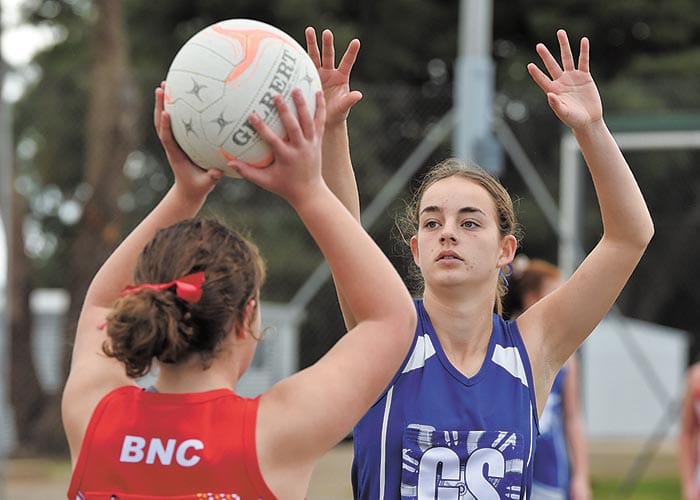 YPNA scores and reports