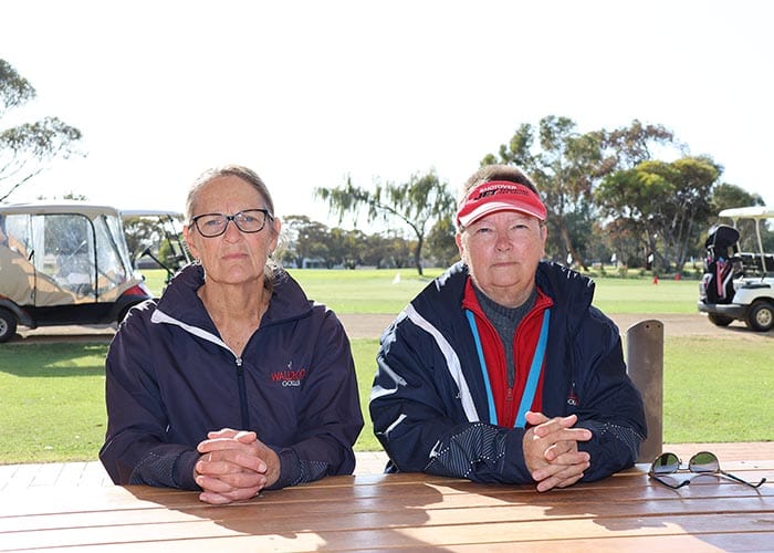 Who let the dogs out?