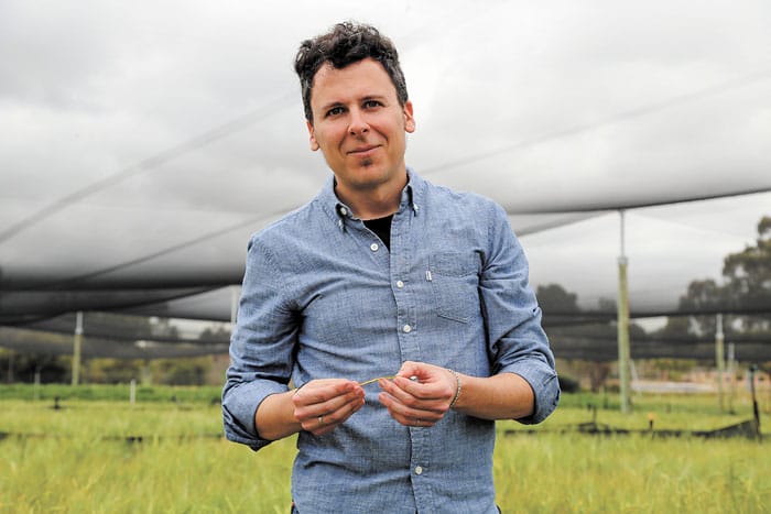 Fungicide resistance explained