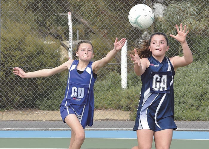 Yorke Peninsula scores and reports