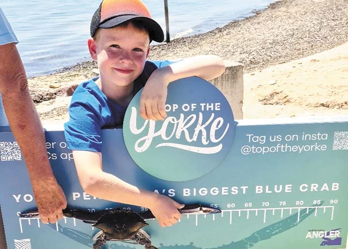 Crabbing competition catches a crowd