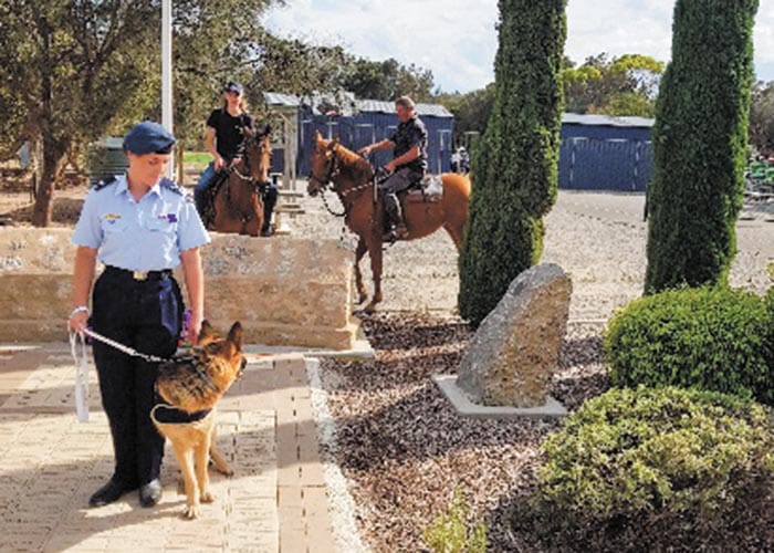National War Animal Day at Corny Point