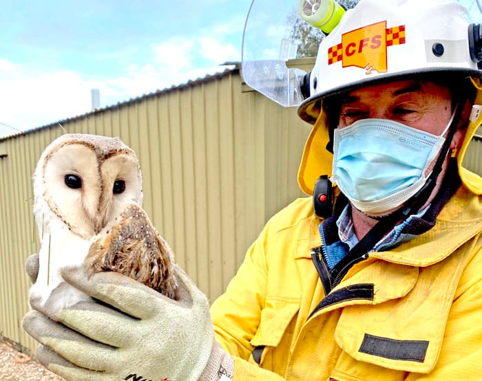 Storms bring widespread carnage