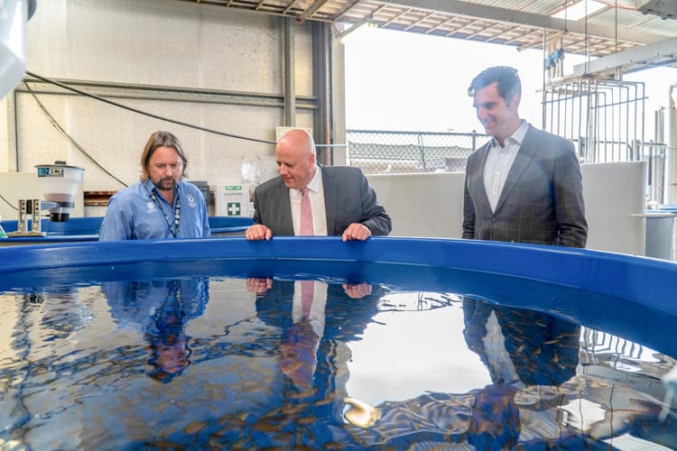 Flexibility for SA seafood businesses