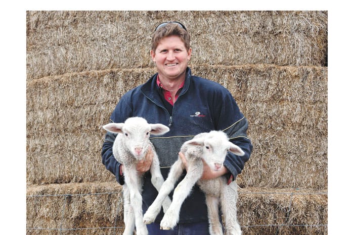 Eagle slayer myth hard to kill off