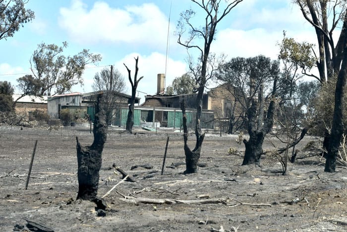 Bushfire victims compensated
