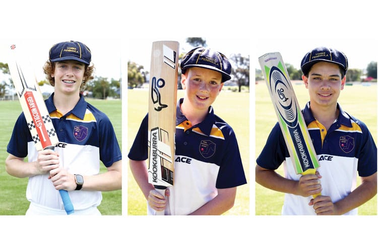Cricket: YP players named in Teams of the Championships