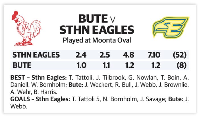 YPFL second semifinal – senior colts