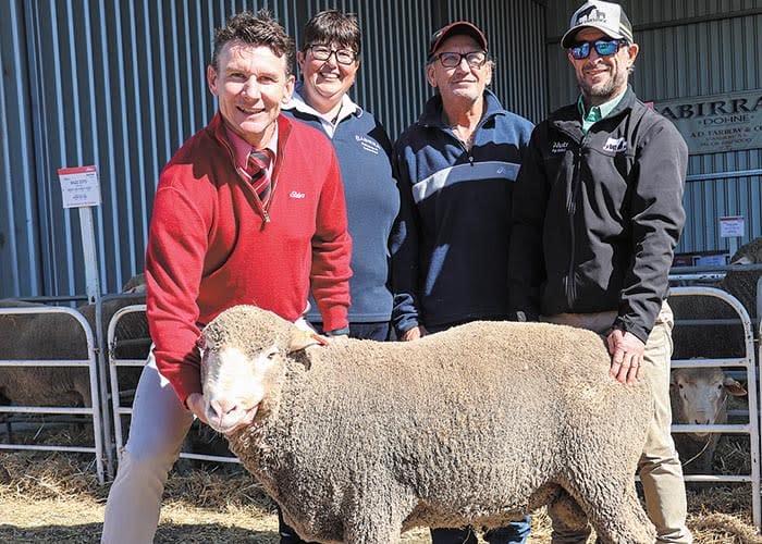 Dual purpose with breeding values at Babirra