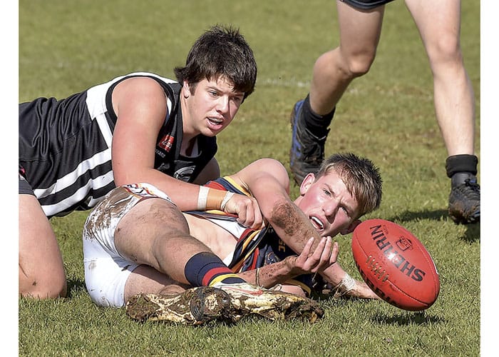 YPFL: Crowing home from Paskeville