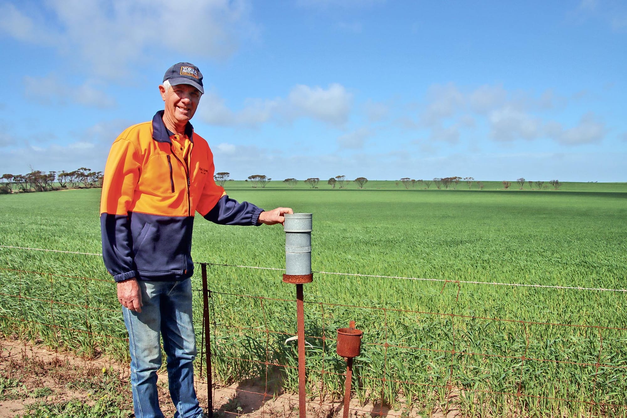 Annual wheat competition a highlight for Bute bureau