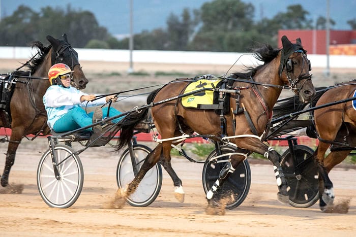 YP Harness Racing Club