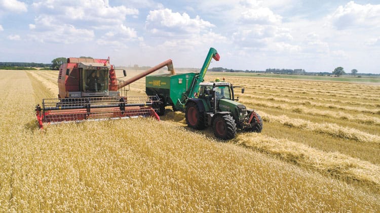 A stronger core for better plant breeding