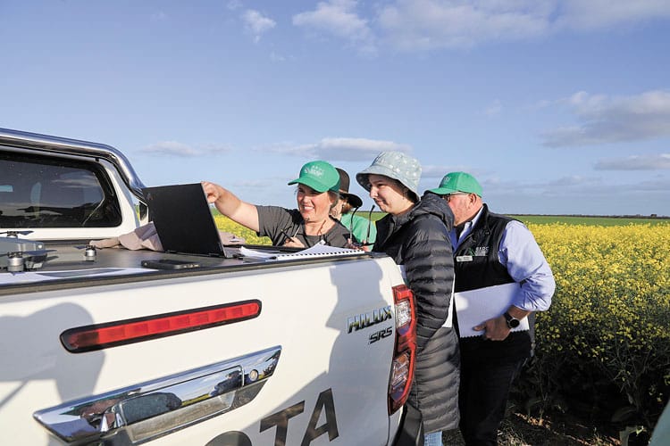 Pick crop contenders with 2024 SA guide