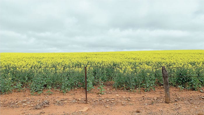 Unlocking soil secrets for ag sector