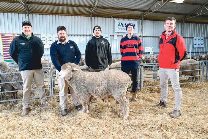 Strong start to ram sale season at North Cowie