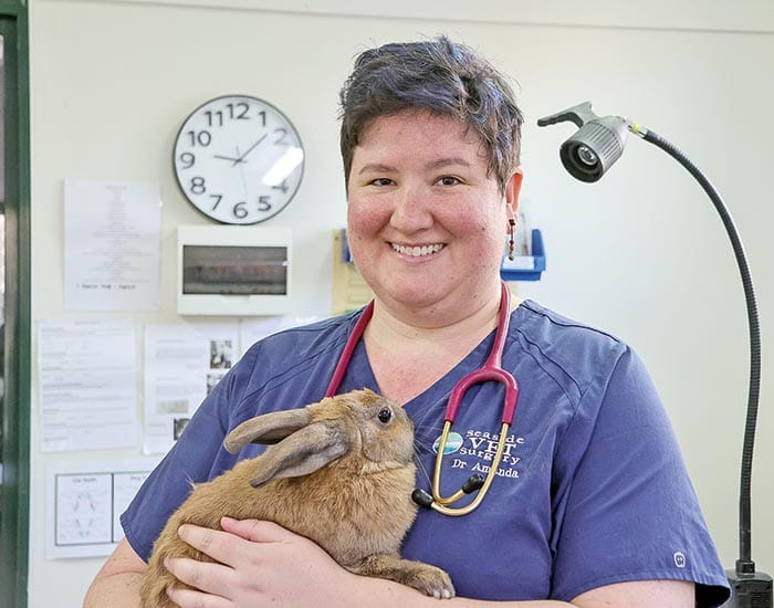 Small businesses welcome electricity rebate