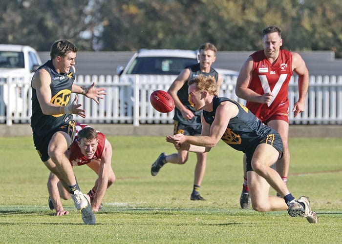 NAFA: Eagles bullied by undefeated Roosters