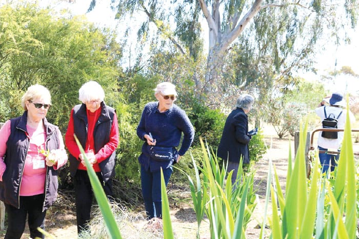 Varied program at Warooka and Districts Garden Club