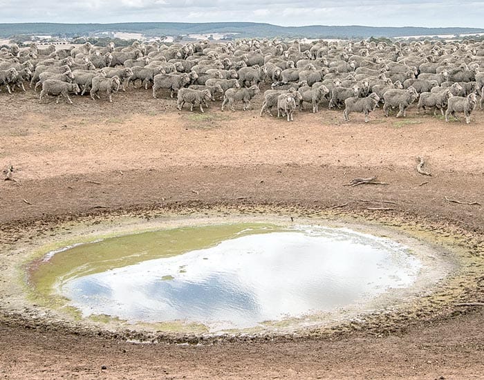 Calling for relief for rural SA