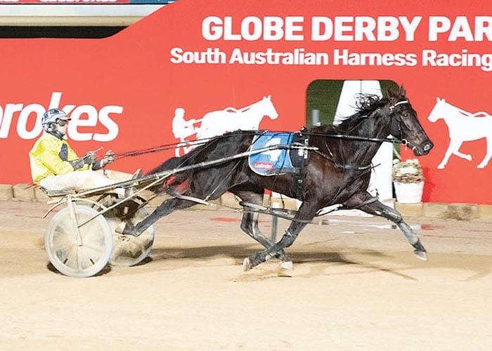 YP Harness Racing Club