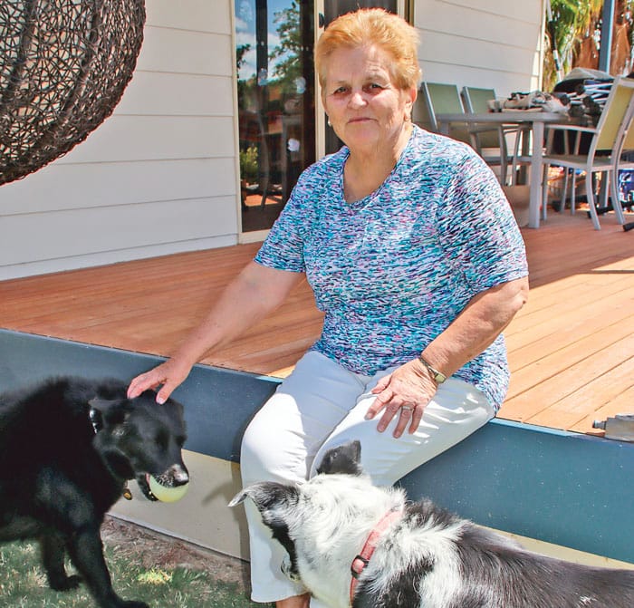 Feral cats caught in the crosshairs