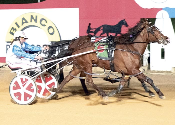 Lou Lou Quick wins Life Members Pace