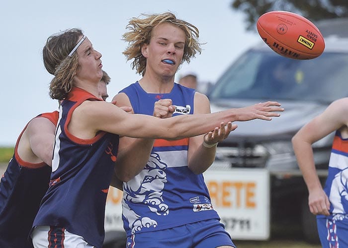 YPFL Senior Colts: Dogs dominate to defer Demons