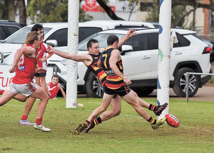 YPFL... Roosters beginning to Crow